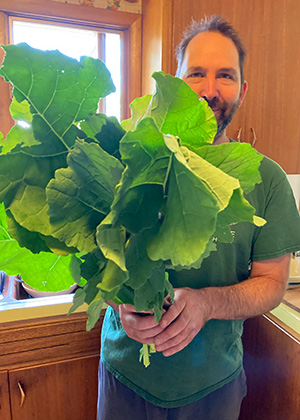 even star landrace collards
